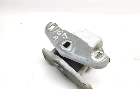 Renault Trafic III (X82) Rear door lower hinge