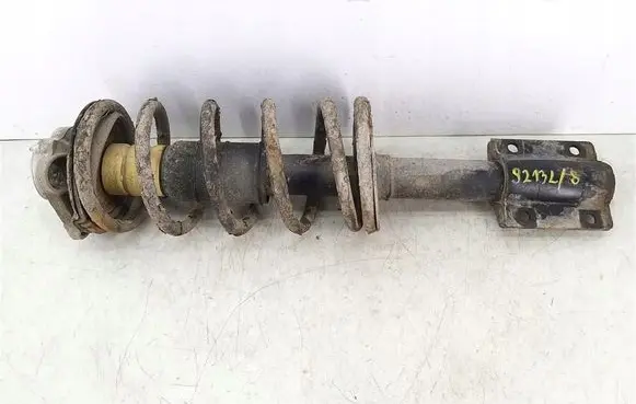 Citroen Jumper Front shock absorber with coil spring