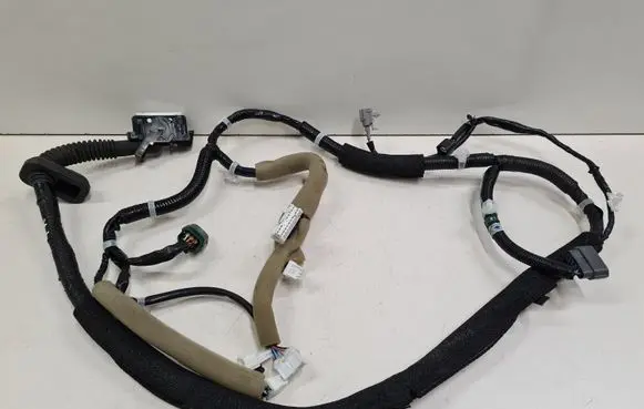 Nissan Leaf I (ZE0) Front door wiring loom 241253ND0A