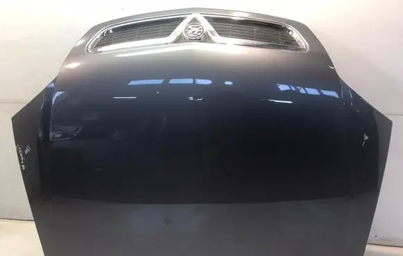 Opel Signum Engine bonnet/hood N509