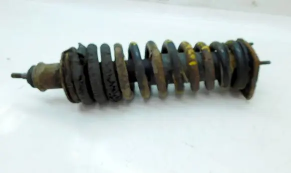 Mercedes-Benz ML W163 Rear shock absorber with coil spring 195780