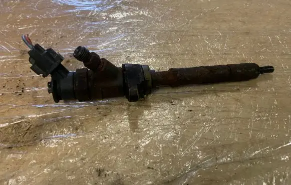 Citroen C4 I Picasso Fuel injector 0445110297