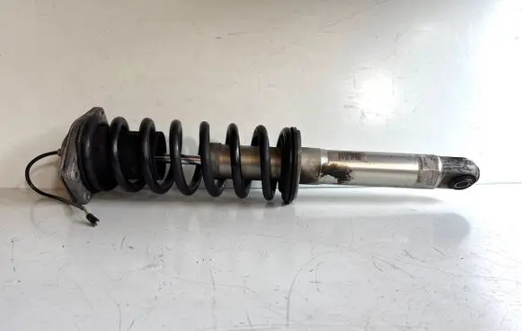 Maserati GranTurismo Rear shock absorber/damper 286946 462400008 1H30K145