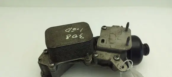 Peugeot 308 Oil filter mounting bracket 9687847480