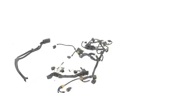 Engine installation wiring loom