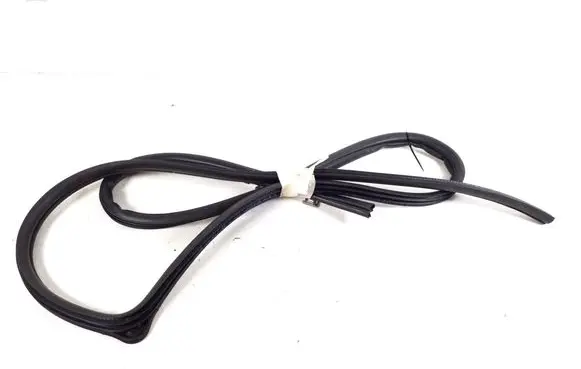 Toyota Corolla Verso AR10 Front door rubber seal 62311-0F010