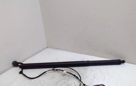 Tailgate strut