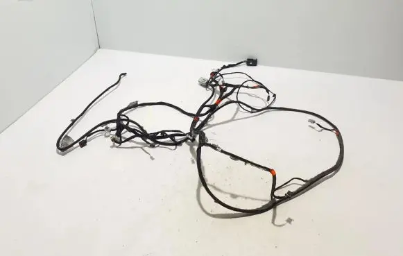 Ford Mach-E I Other wiring loom LJ8T14335EAF