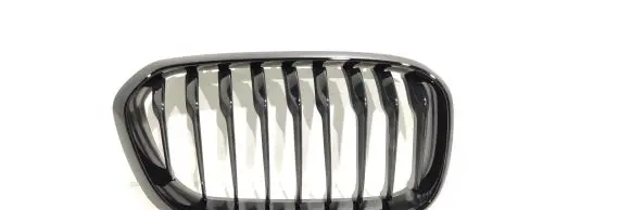 BMW 1 F20 F21 Front grill 7371748 7371686