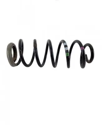 Rear coil spring