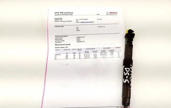Citroen DS5 Fuel injector 9686191080