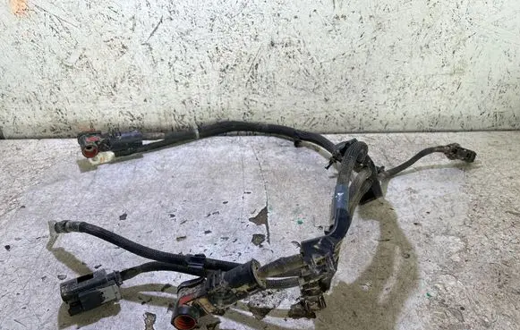 Other wiring loom