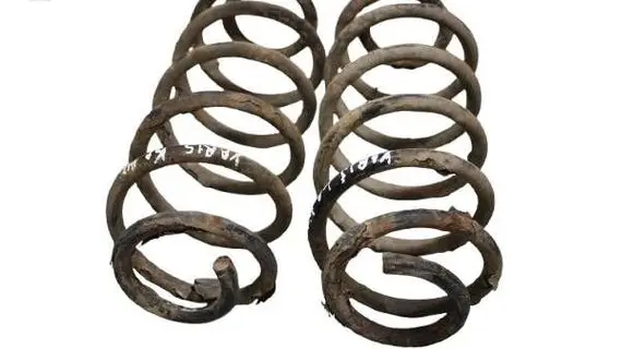 Rear coil spring