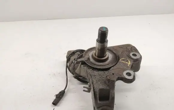 Renault Latitude (L70) Rear wheel hub spindle/knuckle 