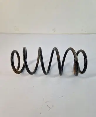 Front coil spring