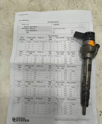 BMW 5 F10 F11 Fuel injector 781070202