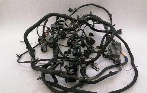Aston Martin V8 Front door wiring loom/harness boot 6G3314290MD