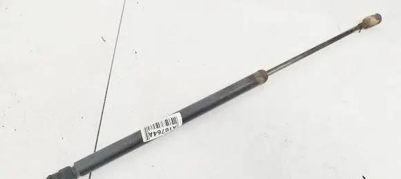 Tailgate/trunk strut/damper