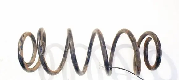 Rear coil spring