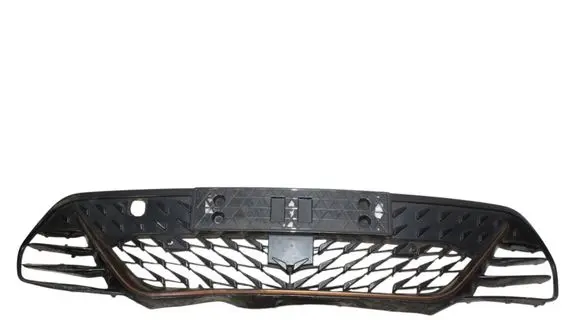 Cupra Born Front grill 10E805903C