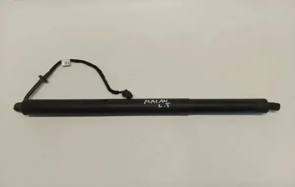 Tailgate strut