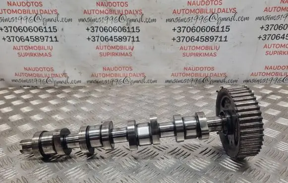 Volkswagen Sharan Camshaft 038109111E