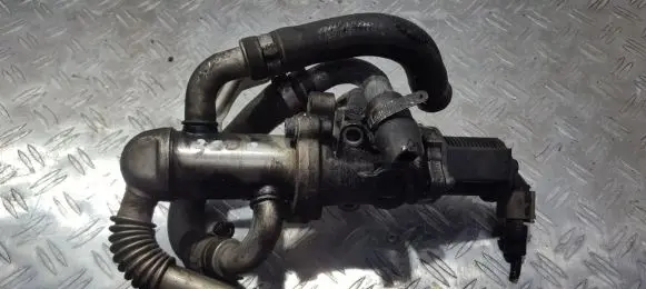 Fiat Doblo EGR valve 50024007