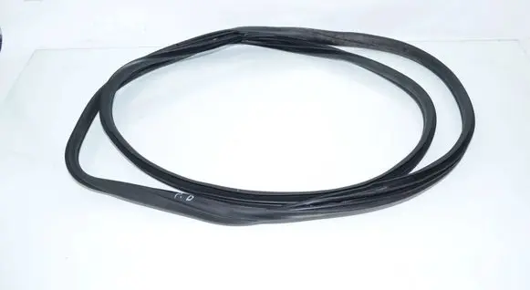 BMW X5 E70 Front door rubber seal 7220381 51767220381