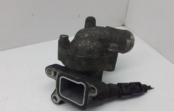 Thermostat/thermostat housing