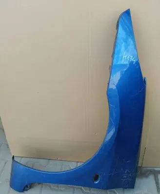 Peugeot 307 Fender 307BLOTNIKLEWYFL