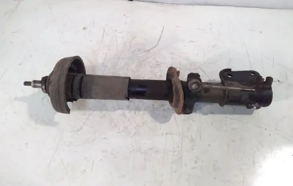 Opel Vivaro Front shock absorber/damper 91165311