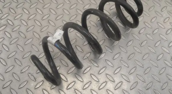 Rear coil spring