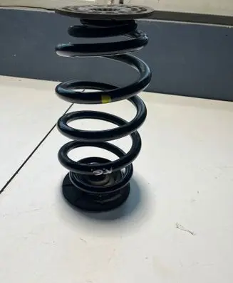 Rear coil spring
