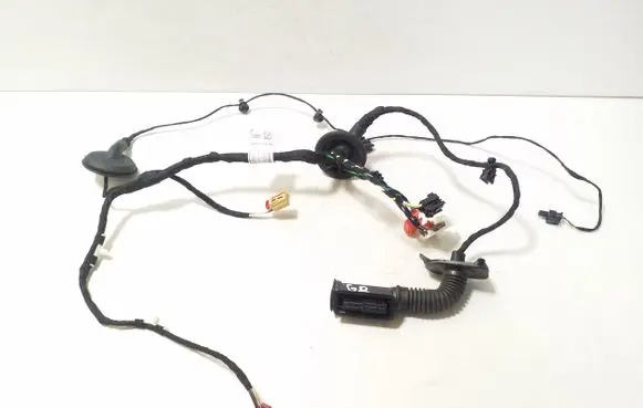 Rear door wiring loom