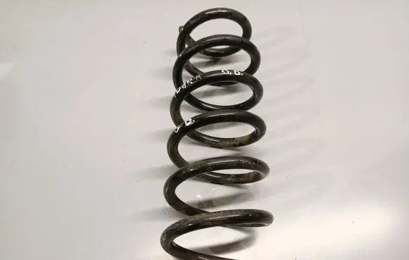 Renault Kadjar Rear coil spring 550204EA3B