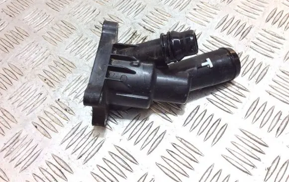 Thermostat/thermostat housing