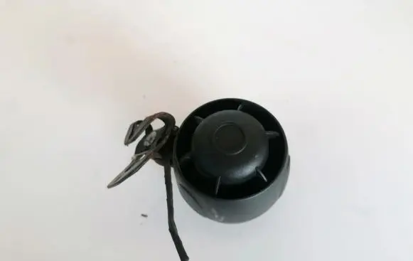 Nissan Qashqai Alarm system siren 
