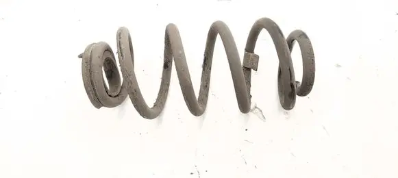 Rear coil spring