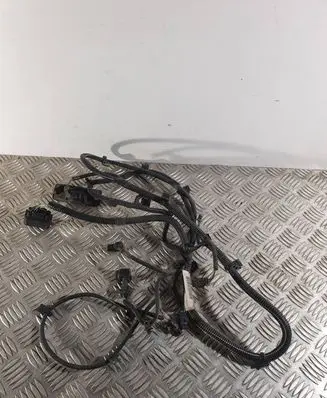 Volvo V40 Parking sensor (PDC) wiring loom 31350909