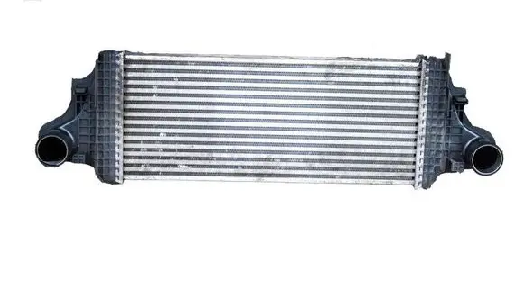 Mercedes-Benz R W251 Intercooler radiator A1645001900