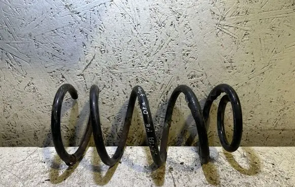 Hyundai Santa Fe Rear coil spring