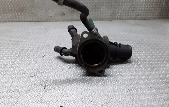 Thermostat/thermostat housing