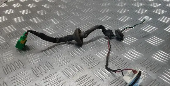 Renault Latitude (L70) Tail light bulb cover holder