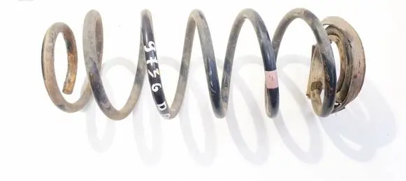 Rear coil spring