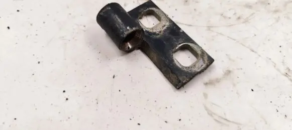 BMW 3 E46 Rear door lower hinge 