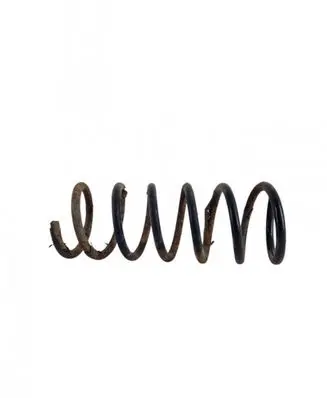 Rear coil spring