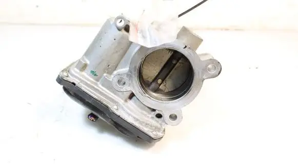 Throttle body valve