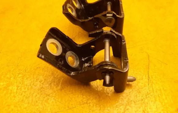 Citroen DS4 Rear door lower hinge