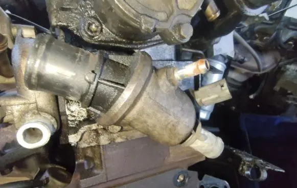 Alfa Romeo 166 Engine coolant pipe/hose v243788