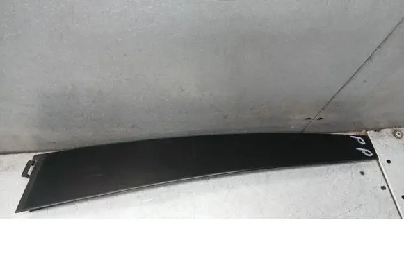 Volkswagen PASSAT B5.5 Front door trim bar